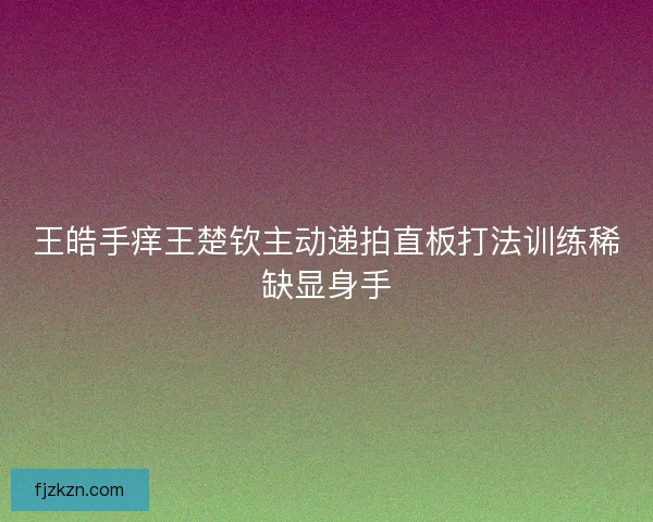 王皓手痒王楚钦主动递拍直板打法训练稀缺显身手 王皓手痒王楚钦主动递拍直板打法训练稀缺显身手